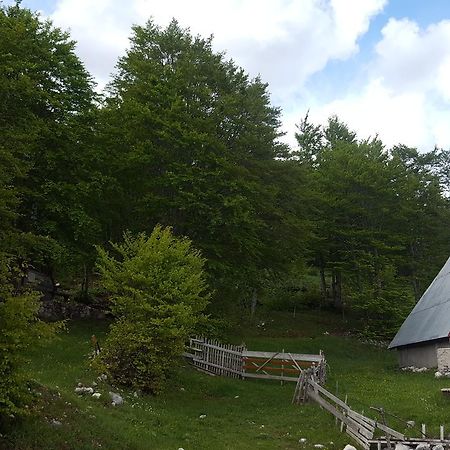 Žabljak Hawkeyeヴィラ エクステリア 写真
